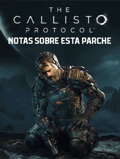 Notas sobre este parche